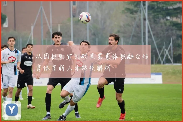 从因校制宜到硕果累累体教融合培育体育新人才路径解析