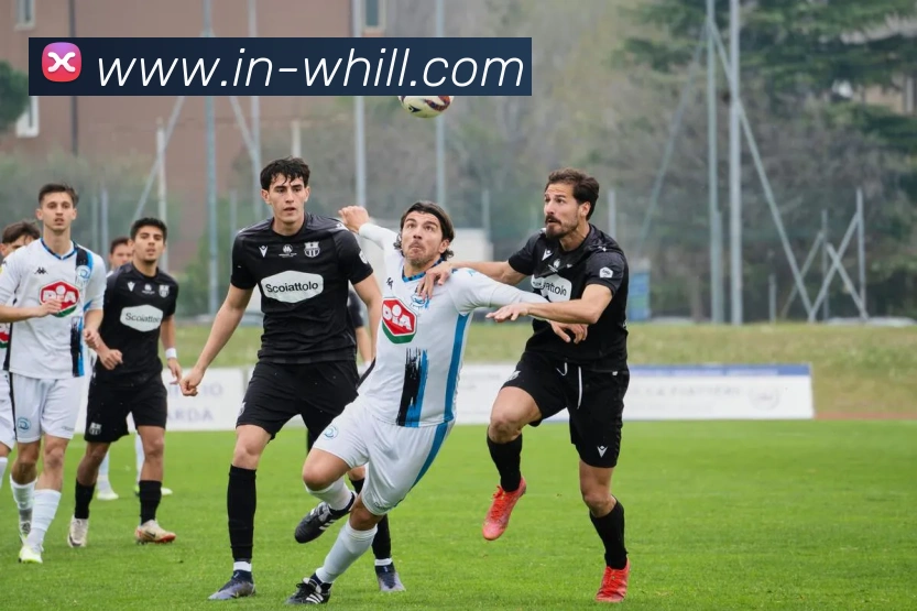 威廉希尔Go直连发展历程