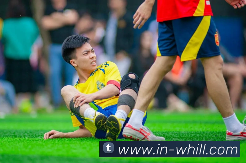 多媒体互动体验