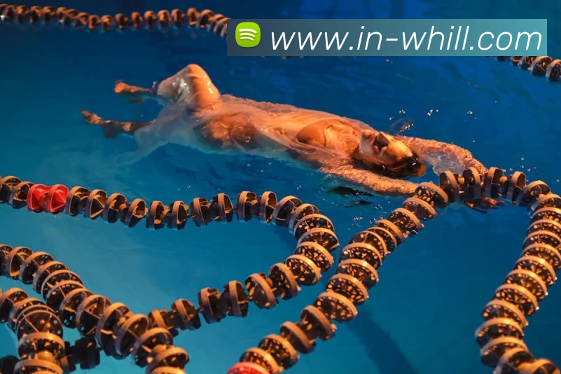 数据防护可视化